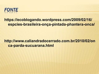 FONTE
https://ecoblogando.wordpress.com/2009/02/16/
espcies-brasileira-onça-pintada-phantera-onca/
http://www.caliandradocerrado.com.br/2010/02/on
ca-parda-sucuarana.html
 