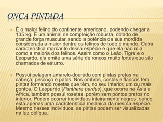 ONÇA PINTADA
 É o maior felino do continente americano, podendo chegar a
135 kg. É um animal de compleição robusta, dotado de
grande força muscular, sendo a potência de sua mordida
considerada a maior dentre os felinos de todo o mundo. Outra
característica marcante dessa espécie é que ela não mia
como a maioria dos felinos. Assim como o Leão, Tigre e o
Leopardo, ela emite uma série de roncos muito fortes que são
chamados de esturro.
 Possui pelagem amarelo-dourado com pintas pretas na
cabeça, pescoço e patas. Nos ombros, costas e flancos tem
pintas formando rosetas que têm, no seu interior, um ou mais
pontos. O Leopardo (Panthera pardus), que ocorre na Ásia e
África, também possui rosetas, porém sem pontos pretos no
interior. Podem ocorrer indivíduos inteiramente negros, sendo
esta apenas uma característica melânica da mesma espécie.
Mesmo nesses indivíduos, as pintas podem ser visualizadas
na luz oblíqua.
 