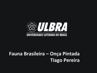 Fauna Brasileira – Onça Pintada
Tiago Pereira

 