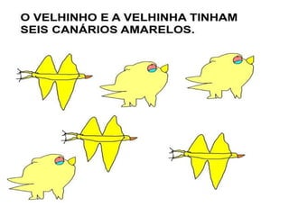 O nabo gigant evesp.