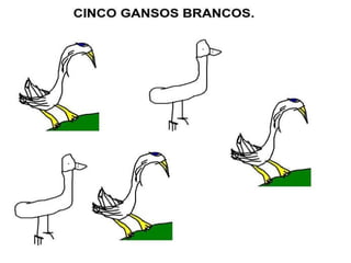 O nabo gigant evesp.