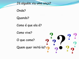 Já alguém viu uma onça?

Onde?

Quando?

Como é que ela é?

Como vive?

O que come?

Quem quer imitá-la?
 