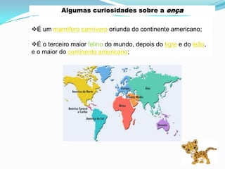 Algumas curiosidades sobre a onça


É um mamífero carnívoro oriunda do continente americano;

É o terceiro maior felino do mundo, depois do tigre e do leão,
e o maior do continente americano;
 