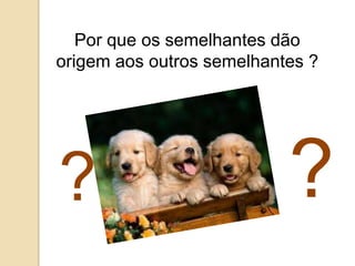 Por que os semelhantes dão
origem aos outros semelhantes ?




?                          ?
 