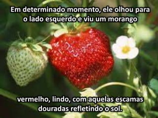 Em determinado momento, ele olhou para
o lado esquerdo e viu um morango
vermelho, lindo, com aquelas escamas
douradas refletindo o sol.
 