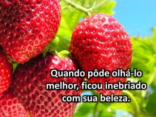 Quando pôde olhá-lo
melhor, ficou inebriado
com sua beleza.
 