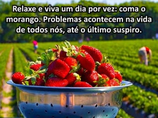 Relaxe e viva um dia por vez: coma o
morango. Problemas acontecem na vida
de todos nós, até o último suspiro.
 