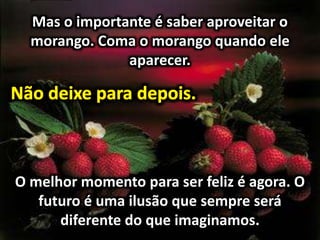 Mas o importante é saber aproveitar o
morango. Coma o morango quando ele
aparecer.
O melhor momento para ser feliz é agora. O
futuro é uma ilusão que sempre será
diferente do que imaginamos.
 