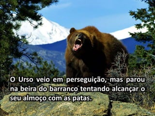 O Urso veio em perseguição, mas parou
na beira do barranco tentando alcançar o
seu almoço com as patas.
 