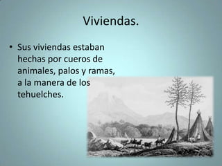 Viviendas.
• Sus viviendas estaban
hechas por cueros de
animales, palos y ramas,
a la manera de los
tehuelches.
 