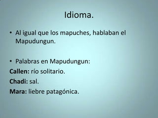 Idioma.
• Al igual que los mapuches, hablaban el
Mapudungun.
• Palabras en Mapudungun:
Callen: río solitario.
Chadi: sal.
Mara: liebre patagónica.
 