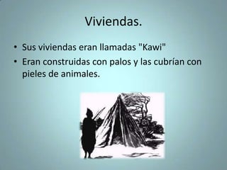 Viviendas.
• Sus viviendas eran llamadas "Kawi"
• Eran construidas con palos y las cubrían con
pieles de animales.
 