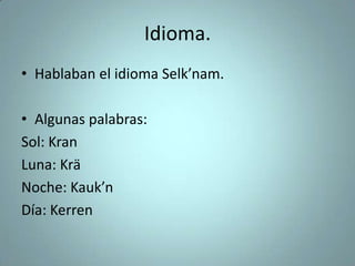 Idioma.
• Hablaban el idioma Selk’nam.
• Algunas palabras:
Sol: Kran
Luna: Krä
Noche: Kauk’n
Día: Kerren
 