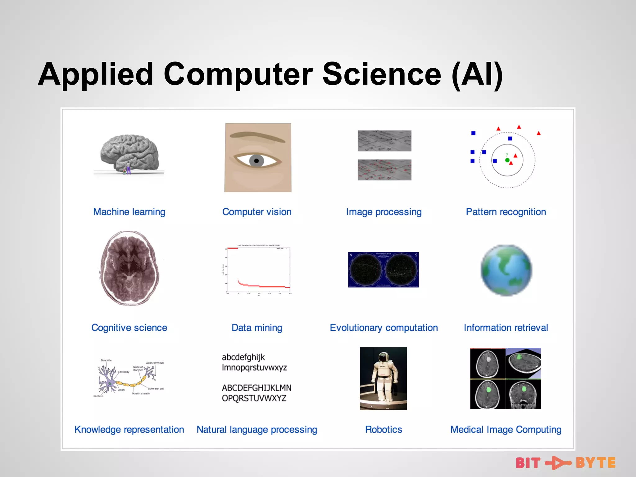 Applied Computer Science (AI)

 