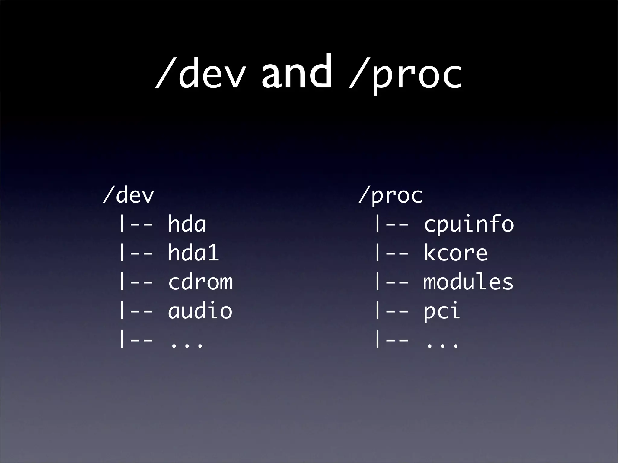 /dev        and /proc

/dev               /proc
 |--   hda          |-- cpuinfo
 |--   hda1         |-- kcore
 |--   cdrom        |-- modules
 |--   audio        |-- pci
 |--   ...          |-- ...
 