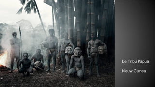 De Tribu Papua
Nieuw Guinea
 