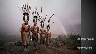 De Tribu Kalam
Nieuw Guinea
 