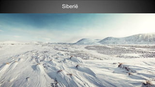 Siberië
 