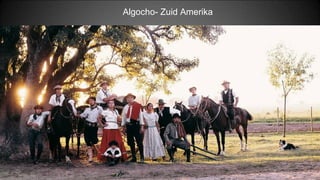 Algocho- Zuid Amerika
 