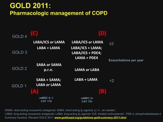 Onbrez 簡報 | PPT | Lung and Respiratory Health | Diseases and Conditions