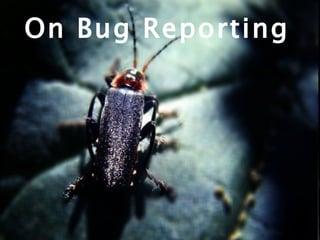 On Bug Reporting 