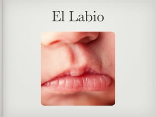 El Labio
 