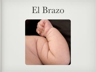 El Brazo
 