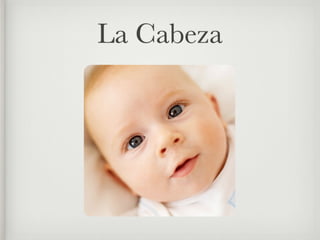La Cabeza
 