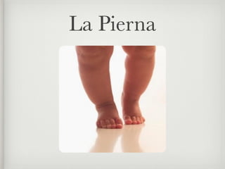 La Pierna
 