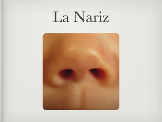 La Nariz
 