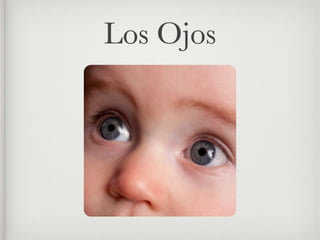 Los Ojos
 