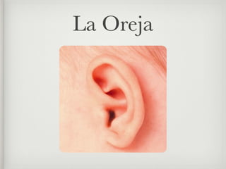 La Oreja
 