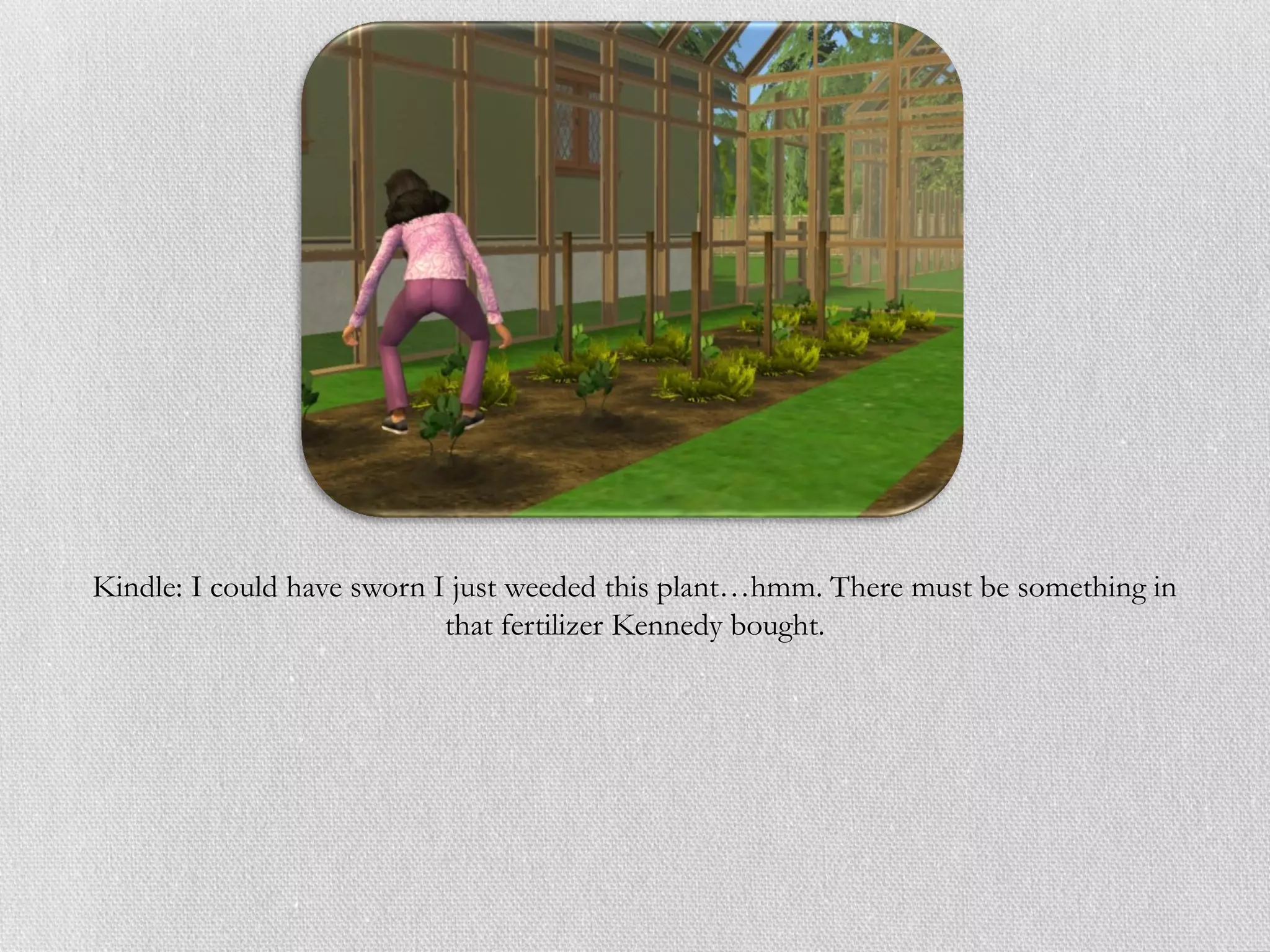 Kindle: I could have sworn I just weeded this plant…hmm. There must be something in
                            that fertilizer Kennedy bought.
 