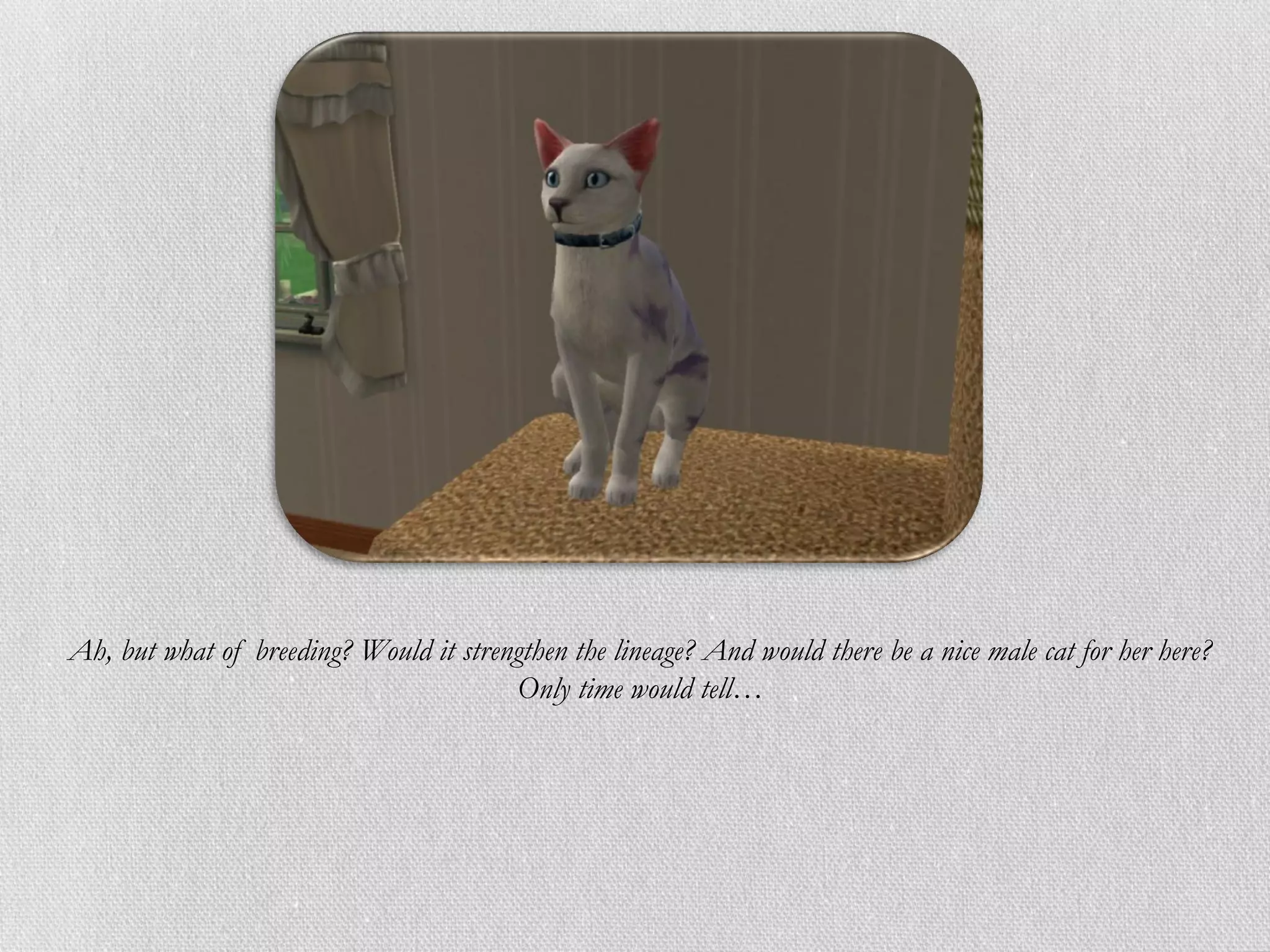 Ah, but what of breeding? Would it strengthen the lineage? And would there be a nice male cat for her here?
                                        Only time would tell…
 