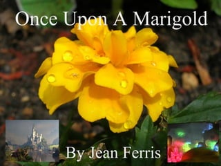 By Jean FerrisBy Jean Ferris
Once Upon A Marigold
By Jean Ferris
 