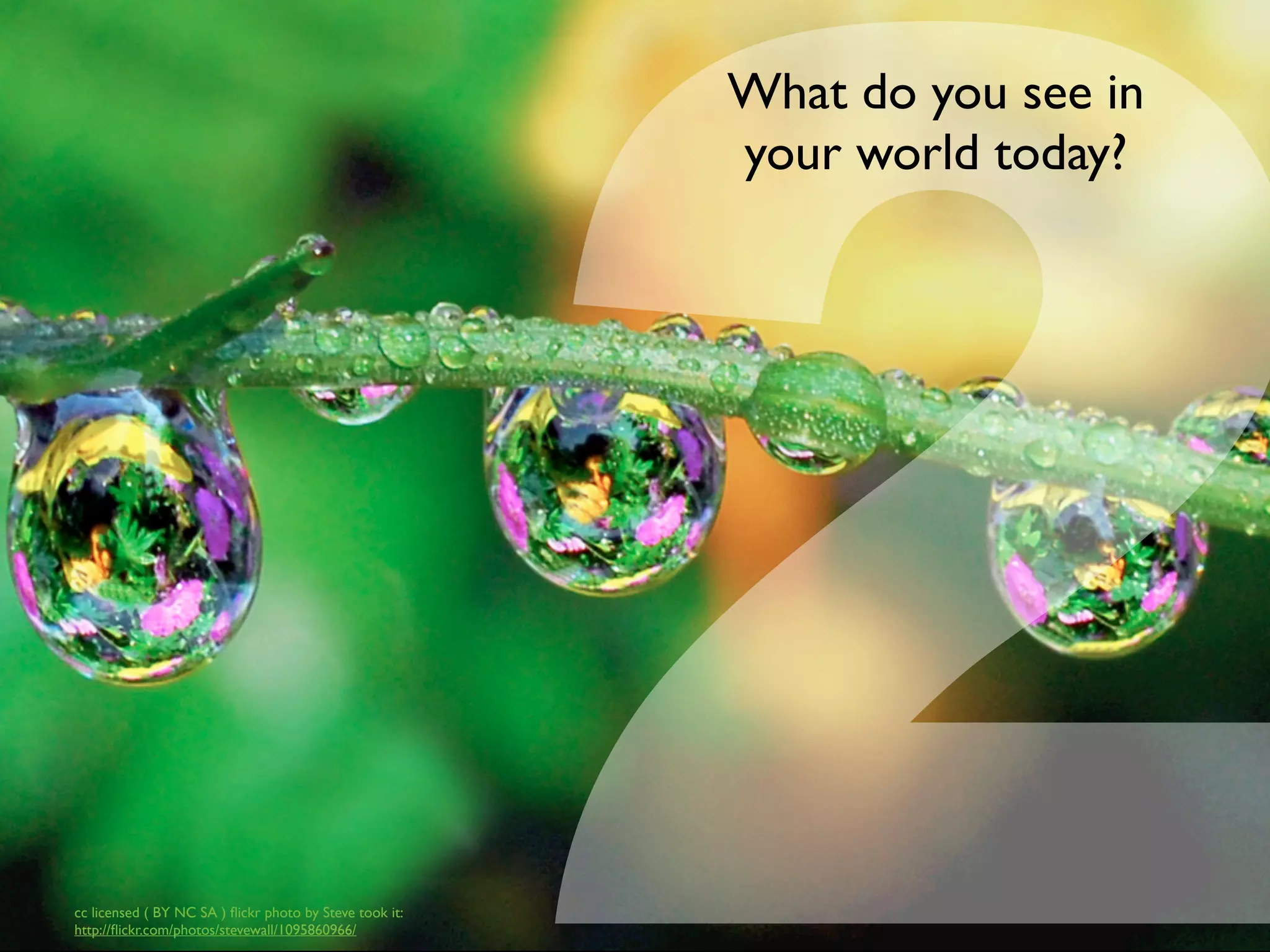 2
                                                         What do you see in
                                                         your world today?




cc licensed ( BY NC SA ) ﬂickr photo by Steve took it:
http://ﬂickr.com/photos/stevewall/1095860966/
 