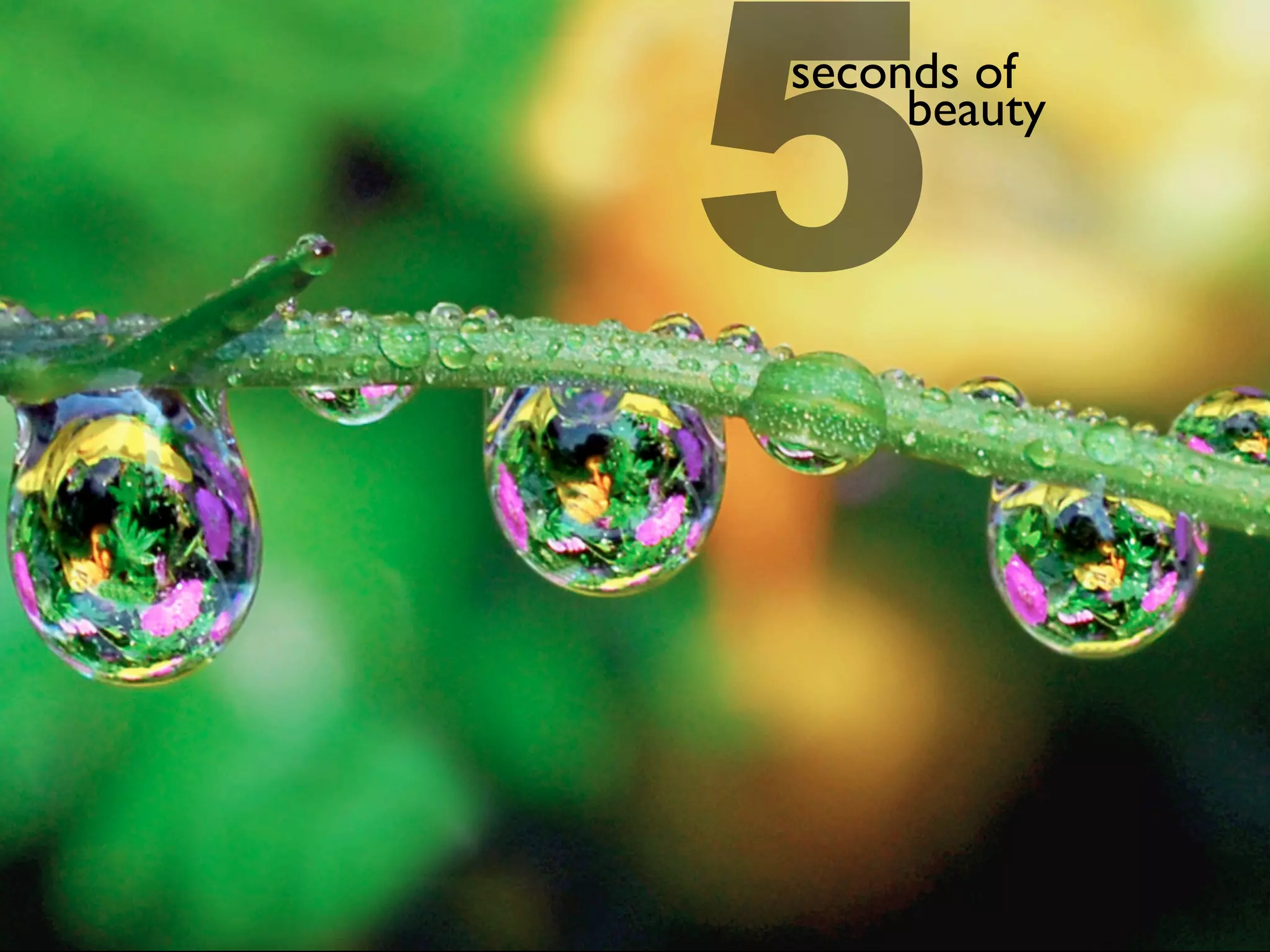 5
seconds of
     beauty
 