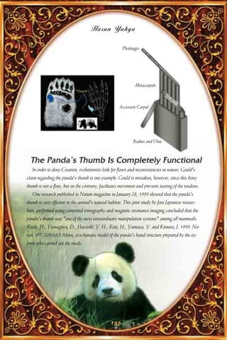 Harun Yahya

                                                        Phalanges




                                                               Metacarpals

                                                                                TH
                                                                                  UM
                                                                                    B
                                                      Accessory Carpal




                                                              Radius and Ulna




   In order to deny Creation, evolutionists look for flaws and inconsistencies in nature. Gould's
claim regarding the panda's thumb is one example. Gould is mistaken, however, since this bony
thumb is not a flaw, but on the contrary, facilitates movement and prevents tearing of the tendons.
   One research published in Nature magazine in January 28, 1999 showed that the panda's
thumb is very efficient in the animal's natural habitat. This joint study by four Japanese researc-
hers, performed using computed tomography and magnetic resonance imaging concluded that the
panda's thumb was "one of the most extraordinary manipulation systems" among all mammals.
(Endo, H., Yamagiwa, D., Hayashi, Y. H., Koie, H., Yamaya, Y. and Kimura, J. 1999. Na-
ture 397: 309-310) Above, a schematic model of the panda's hand structure prepared by the ex-
perts who carried out the study.




                                                 135
 