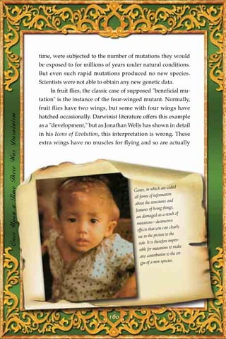 time, were subjected to the number of mutations they would
                                       be exposed to for millions of years under natural conditions.
                                       But even such rapid mutations produced no new species.
                                       Scientists were not able to obtain any new genetic data.
                                           In fruit flies, the classic case of supposed "beneficial mu-
                                       tation" is the instance of the four-winged mutant. Normally,
                                       fruit flies have two wings, but some with four wings have
Once Upon a Time There Was Darwinism




                                       hatched occasionally. Darwinist literature offers this example
                                       as a "development," but as Jonathan Wells has shown in detail
                                       in his Icons of Evolution, this interpretation is wrong. These
                                       extra wings have no muscles for flying and so are actually




                                                                                                   are coded
                                                                              Genes, in which
                                                                                                     ation
                                                                              all forms of inform
                                                                              about the str    uctures and
                                                                                                    things,
                                                                               features of living
                                                                                                    a result of
                                                                                are damaged as
                                                                                                     uctive
                                                                                mutations—destr
                                                                                                       n clearly
                                                                                 effects that you ca
                                                                                                      to the
                                                                                 see in the picture
                                                                                                      e impos-
                                                                                  side. It is therefor
                                                                                                       s to make
                                                                                  sible for mutation
                                                                                                       to the ori-
                                                                                   any contribution
                                                                                                        ies.
                                                                                   gin of a new spec




                                                                    160
 