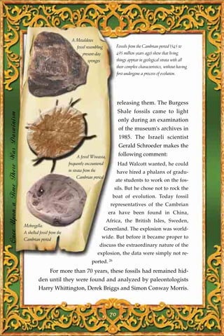 A Metaldetes
                                                                       fossil resembling          Fossils from the Cambrian period (545 to
                                                                           present-day            495 million years ago) show that living
                                                                               sponges            things appear in geological strata with all
                                                                                                  their complex characteristics, without having
                                                                                                  first undergone a process of evolution.




                                                                                                  releasing them. The Burgess
                                                                                                  Shale fossils came to light
Once Upon a Time There Was Darwinism




                                                                                                  only during an examination
                                                                                                   of the museum's archives in
                                                                                                   1985. The Israeli scientist
                                                                                                   Gerald Schroeder makes the
                                                                         A fossil Wiwaxia,         following comment:
                                                                   frequently encountered         Had Walcott wanted, he could
                                                                   in strata from the             have hired a phalanx of gradu-
                                                                         Cambrian period
                                                                                               ate students to work on the fos-
                                                                                               sils. But he chose not to rock the
                                                                                              boat of evolution. Today fossil
                                                                                             representatives of the Cambrian
                                                                                             era have been found in China,
                                                                                           Africa, the British Isles, Sweden,
                                       Mobergella:
                                                                                           Greenland. The explosion was world-
                                       A shelled fossil from the
                                       Cambrian period
                                                                                       wide. But before it became proper to
                                                                                      discuss the extraordinary nature of the
                                                                                    explosion, the data were simply not re-
                                                                                 ported. 26
                                                        For more than 70 years, these fossils had remained hid-
                                                den until they were found and analyzed by paleontologists
                                                Harry Whittington, Derek Briggs and Simon Conway Morris.



                                                                                             70
 