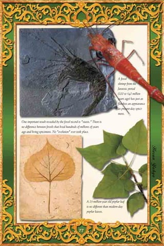 A fossil
                                                                                     shrimp from the
                                                                                     Jurassic period
                                                                                     (200 to 140 million
                                                                                     years ago) has just as
                                                                                     flawless an appearance
                                                                                     as present-day speci-
                                                                                     mens.

One important result revealed by the fossil record is "stasis." There is
no difference between fossils that lived hundreds of millions of years
ago and living specimens. No "evolution" ever took place.




                                                                                                              Harun Yahya




                                                          A 25-million-year old poplar leaf
                                                          is no different than modern-day
                                                          poplar leaves.




                                                   77
 