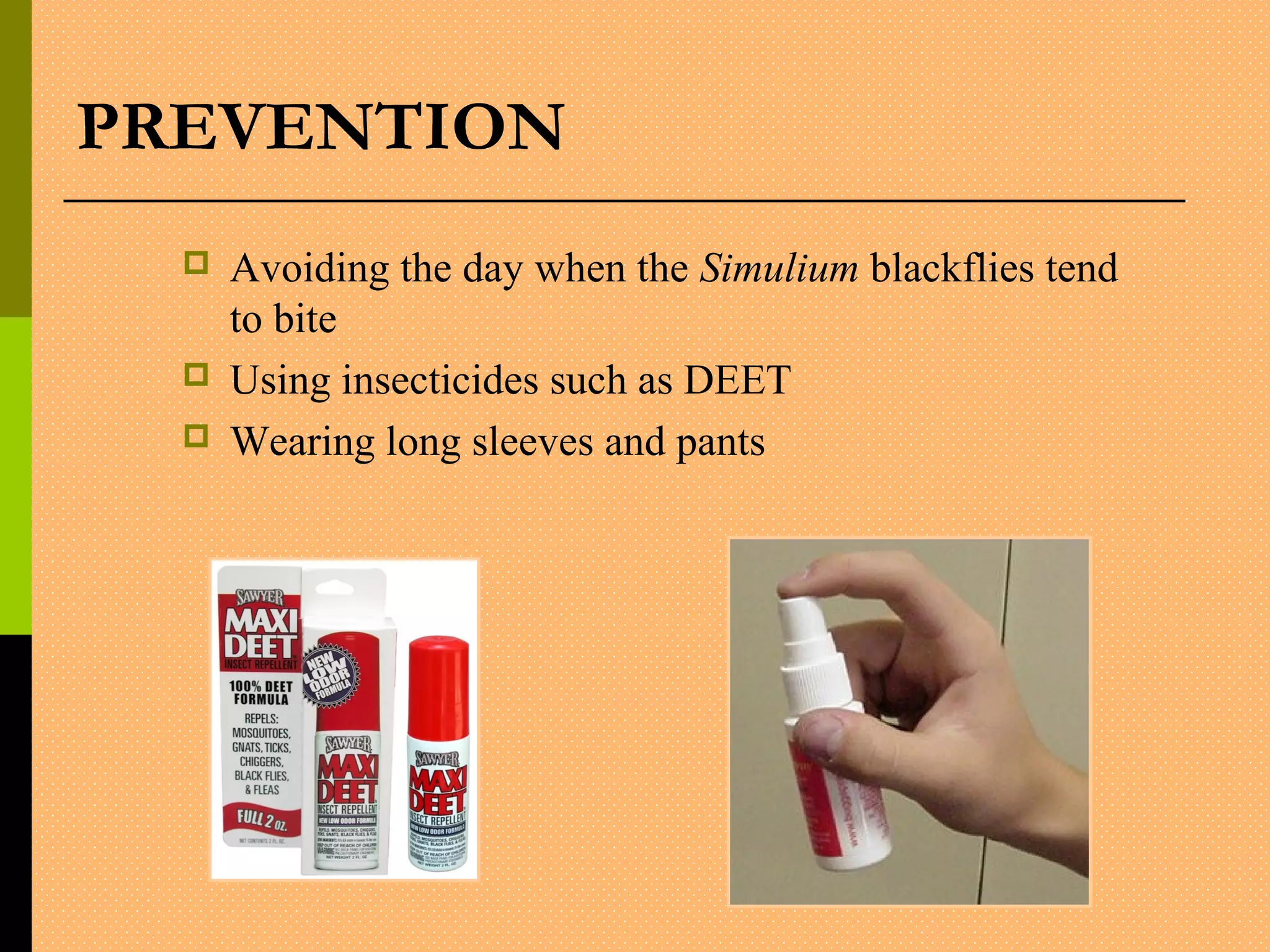 PREVENTION
 Avoiding the day when the Simulium blackflies tend
to bite
 Using insecticides such as DEET
 Wearing long sleeves and pants
 