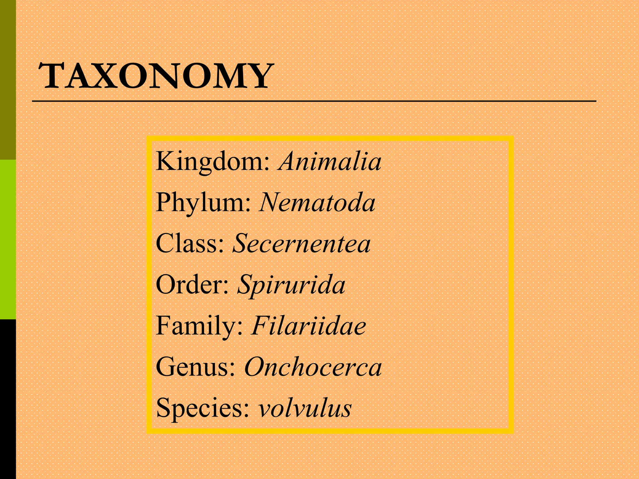TAXONOMY
Kingdom: Animalia
Phylum: Nematoda
Class: Secernentea
Order: Spirurida
Family: Filariidae
Genus: Onchocerca
Species: volvulus
 