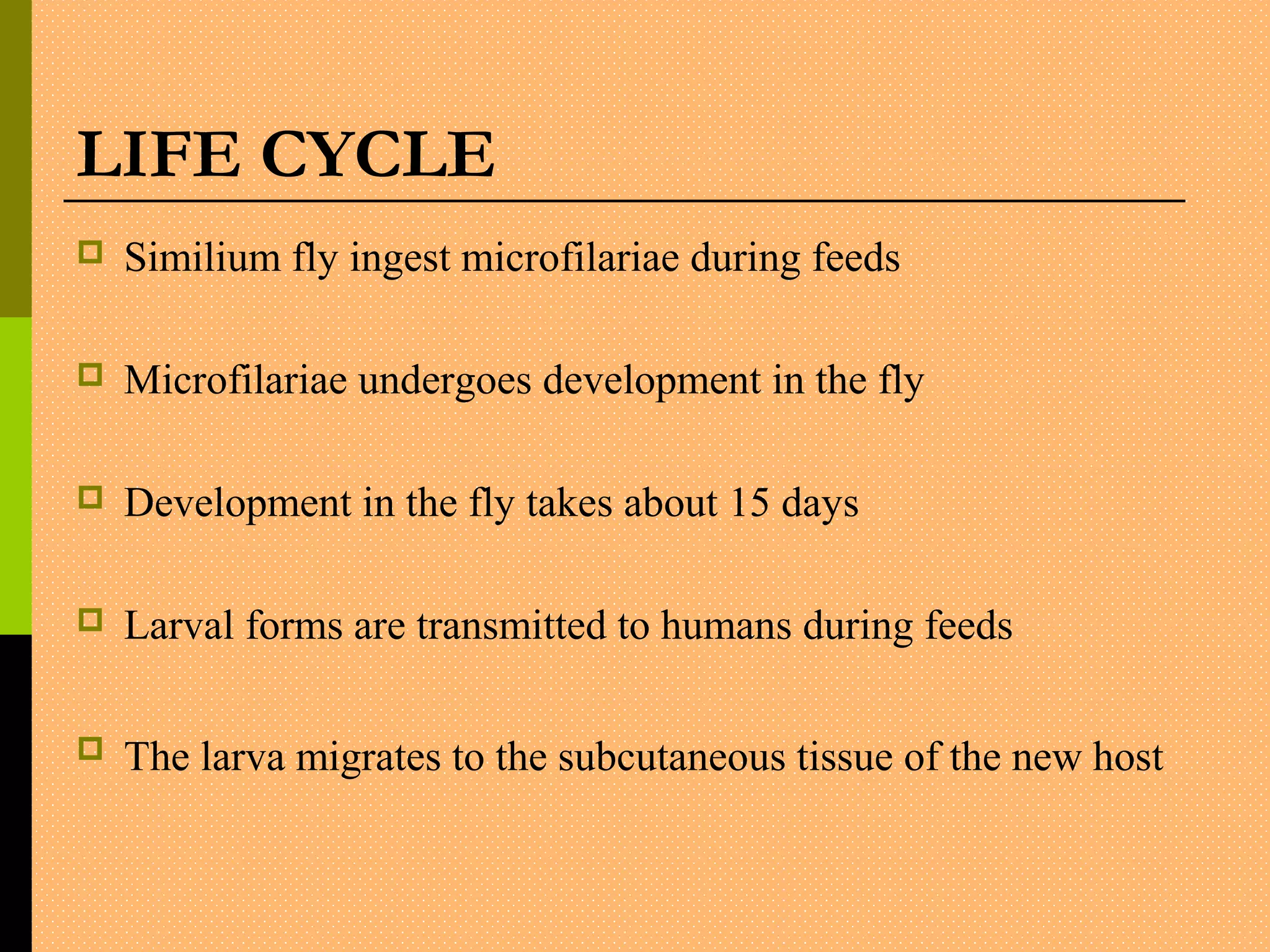 LIFE CYCLE
 Similium fly ingest microfilariae during feeds
 Microfilariae undergoes development in the fly
 Development in the fly takes about 15 days
 Larval forms are transmitted to humans during feeds
 The larva migrates to the subcutaneous tissue of the new host
 