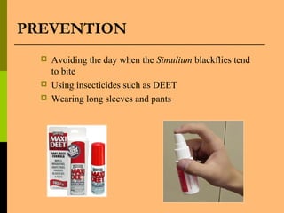 PREVENTION
 Avoiding the day when the Simulium blackflies tend
to bite
 Using insecticides such as DEET
 Wearing long sleeves and pants
 