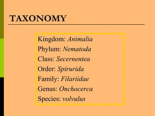 TAXONOMY
Kingdom: Animalia
Phylum: Nematoda
Class: Secernentea
Order: Spirurida
Family: Filariidae
Genus: Onchocerca
Species: volvulus
 