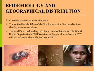EPIDEMIOLOGY AND
GEOGRAPHICAL DISTRIBUTION
 Commonly known as river blindness
 Transmitted by blackflies of the Similium species flies breed in fast-
flowing streams and rivers
 The world’s second leading infectious cause of blindness. The World
Health Organization's (WHO) estimates the global prevalence is 17.7
million, of whom about 270,000 are blind
 