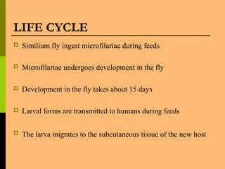 LIFE CYCLE
 Similium fly ingest microfilariae during feeds
 Microfilariae undergoes development in the fly
 Development in the fly takes about 15 days
 Larval forms are transmitted to humans during feeds
 The larva migrates to the subcutaneous tissue of the new host
 
