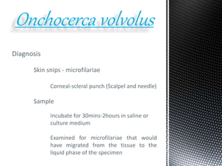 Diagnosis
Skin snips - microfilariae
Corneal-scleral punch (Scalpel and needle)
Sample
Onchocerca volvolus
Incubate for 30mins-2hours in saline or
culture medium
Examined for microfilariae that would
have migrated from the tissue to the
liquid phase of the specimen
 