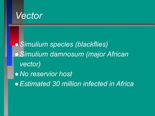 Vector
●Simulium species (blackflies)
●Simulium damnosum (major African
vector)
●No reservior host
●Estimated 30 million infected in Africa
 